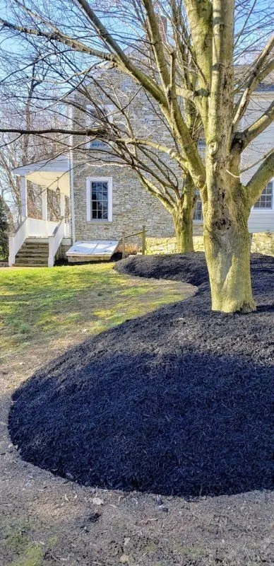 Expert yard cleanup service for year-round maintenance in Christiana, PA by Maple Shade Landscaping