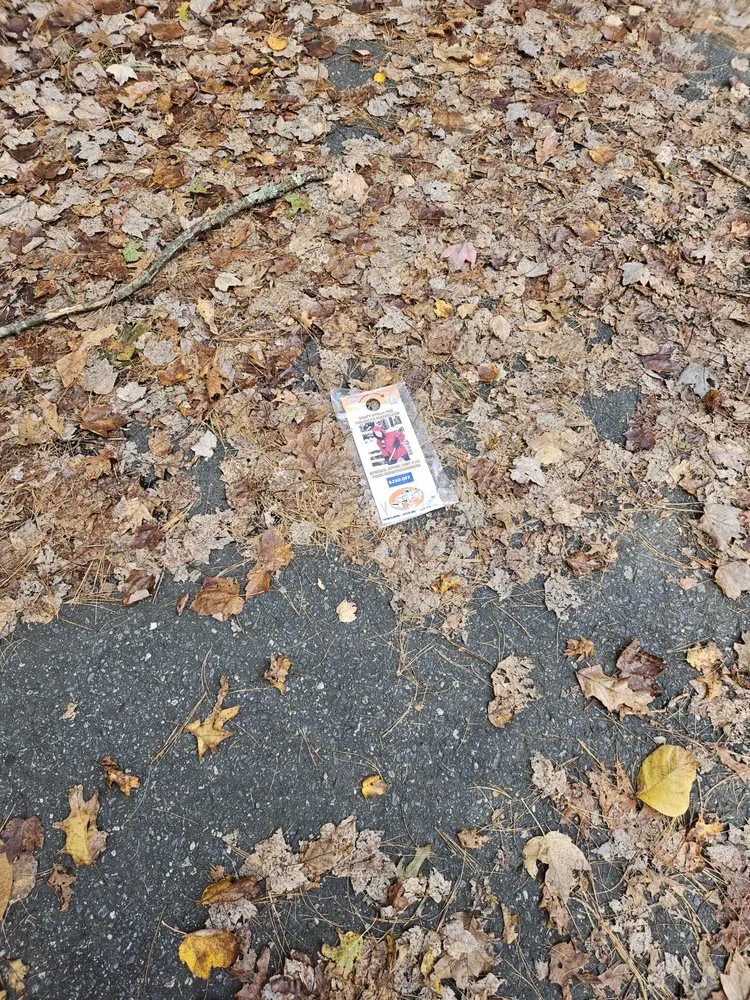 Affordable landscape installation experts serving Wayland, MA - Maple Tree Landscape