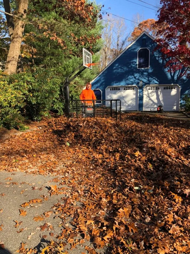 Professional lawn care service for beautiful yards in Wayland, MA by Maple Tree Landscape