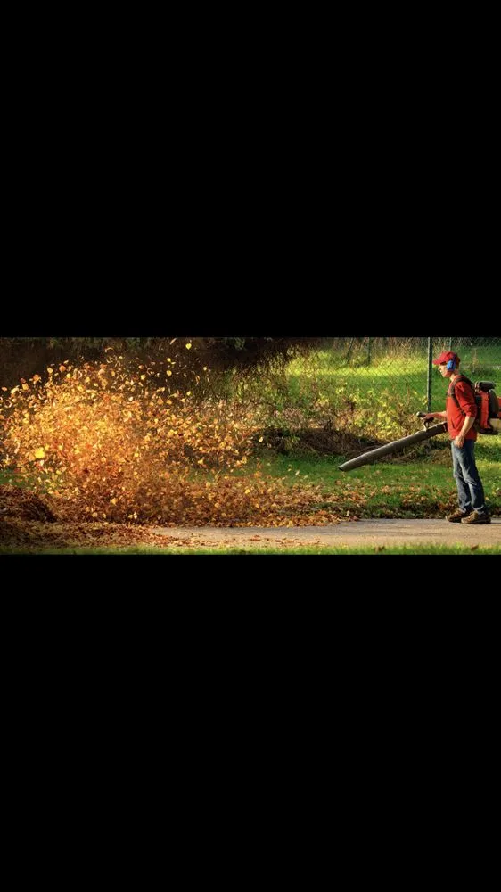 Local lawn care service near you in Wayland, MA by Maple Tree Landscape