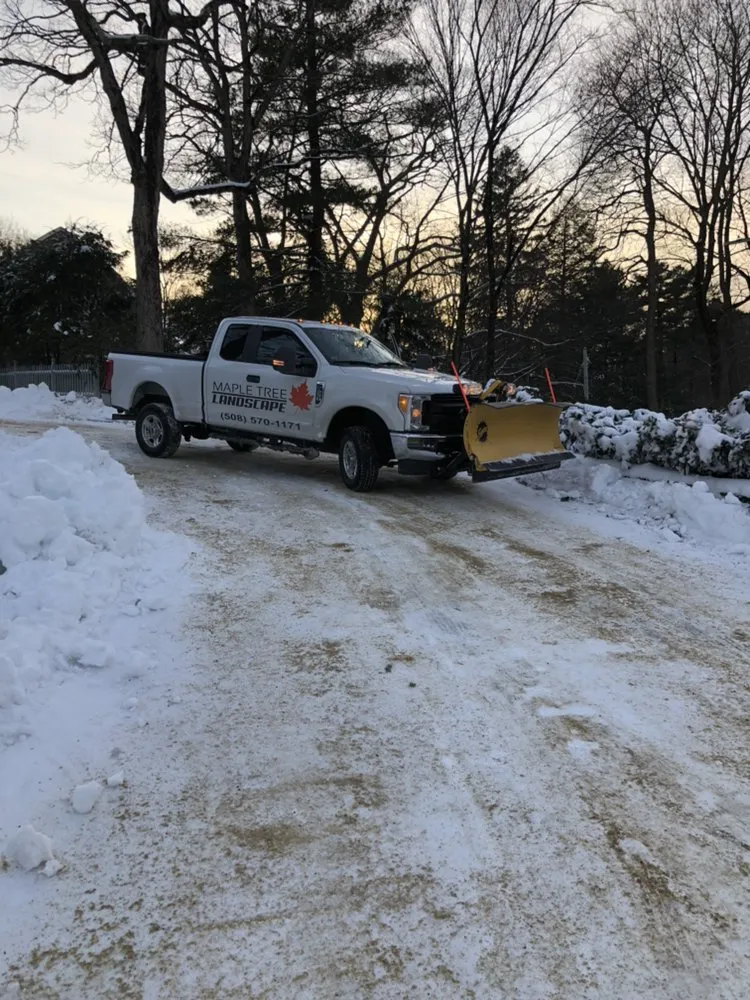 Expert lawn care service experts serving Wayland, MA - Maple Tree Landscape