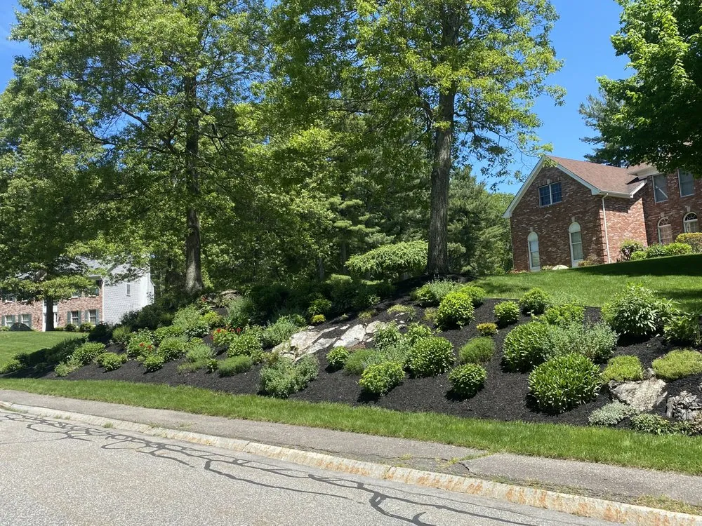 Top-rated lawn mowing service for beautiful yards across Wayland, MA - Maple Tree Landscape