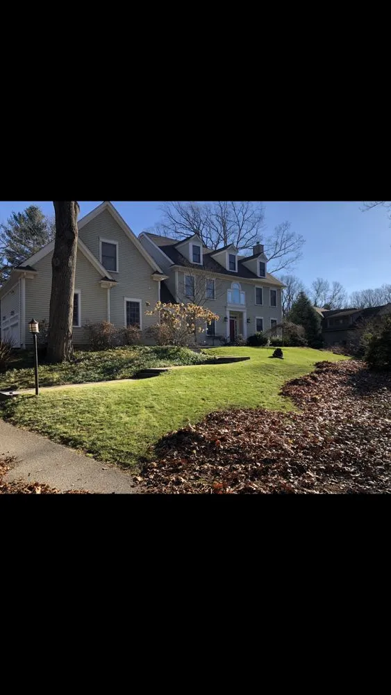 Affordable yard cleanup service in Wayland, MA - Maple Tree Landscape