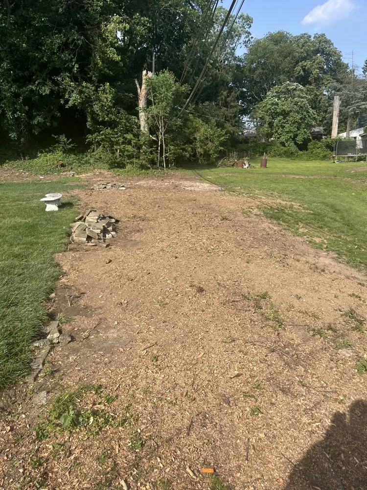 Expert landscape design with custom design in Trenton, NJ by Maple Tree Service & Landscaping