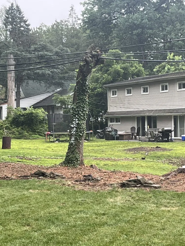 Custom outdoor landscaping in Trenton, NJ by Maple Tree Service & Landscaping