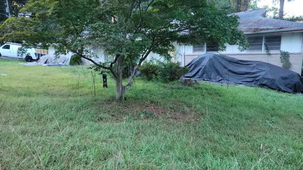 Reliable outdoor landscaping for beautiful yards across Griffin, GA - Maple View Properties