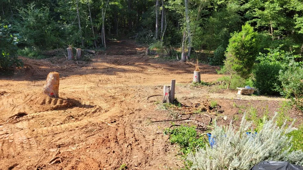 Trusted landscaping services for residential properties across Griffin, GA - Maple View Properties