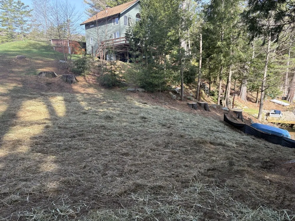 Custom garden landscaping experts serving Ludlow, VT - Maple Wood Property Solutions