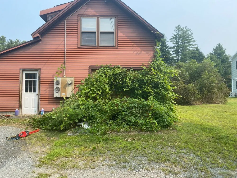 Top-rated garden landscaping for beautiful yards in Ludlow, VT by Maple Wood Property Solutions