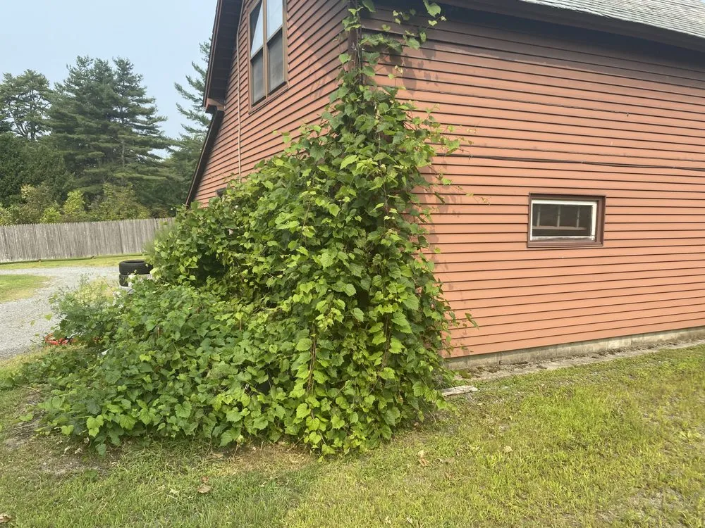 Top-rated landscaping services in Ludlow, VT - Maple Wood Property Solutions