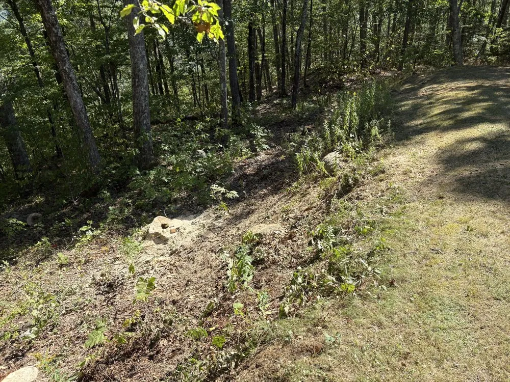 Top-rated landscape design for outdoor upgrades across Ludlow, VT - Maple Wood Property Solutions