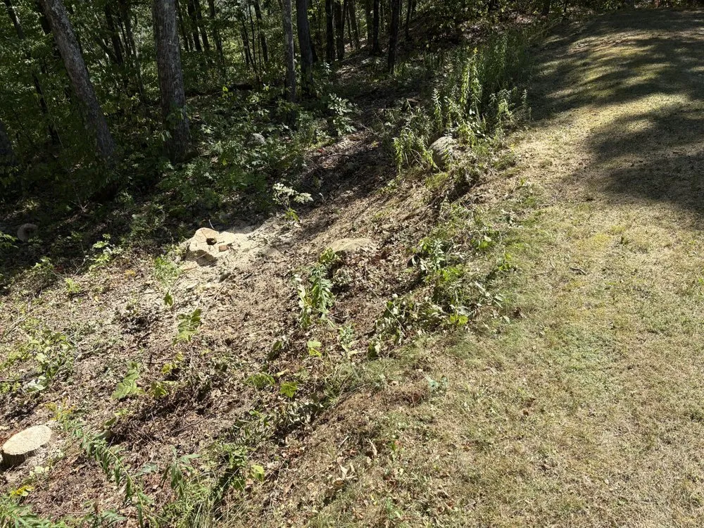 Local residential landscaping experts serving Ludlow, VT - Maple Wood Property Solutions