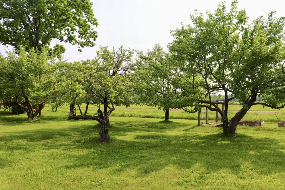 Top-rated outdoor landscaping with custom design in Maple, WI by Maple Yard and Garden