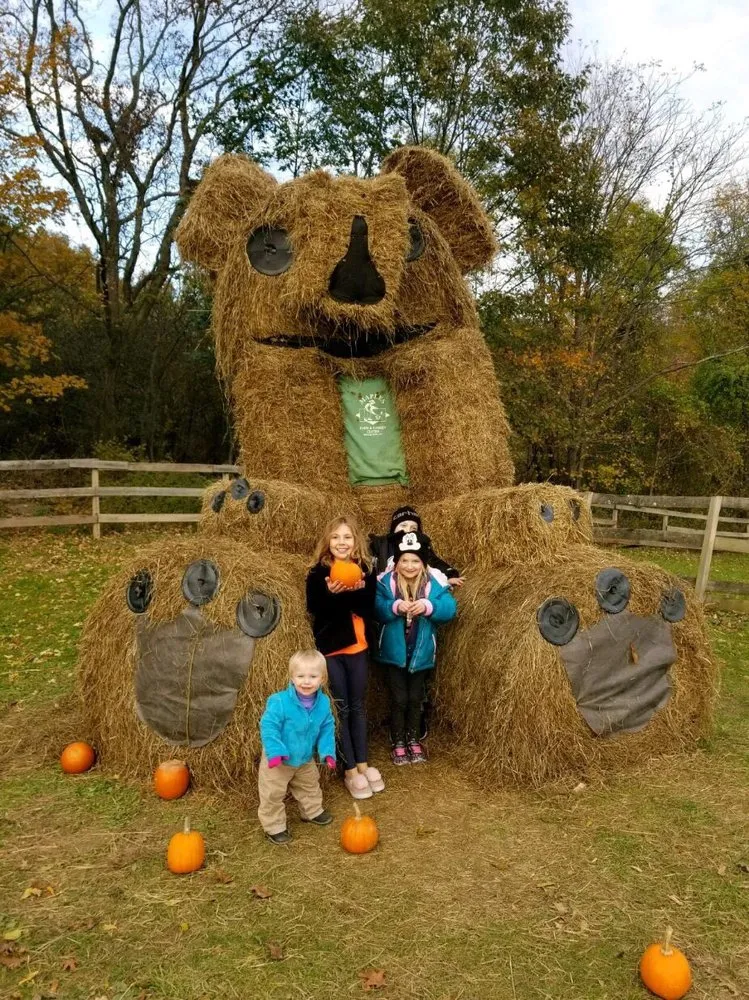 Reliable yard cleanup service experts serving Middletown, NY - Maples Farm