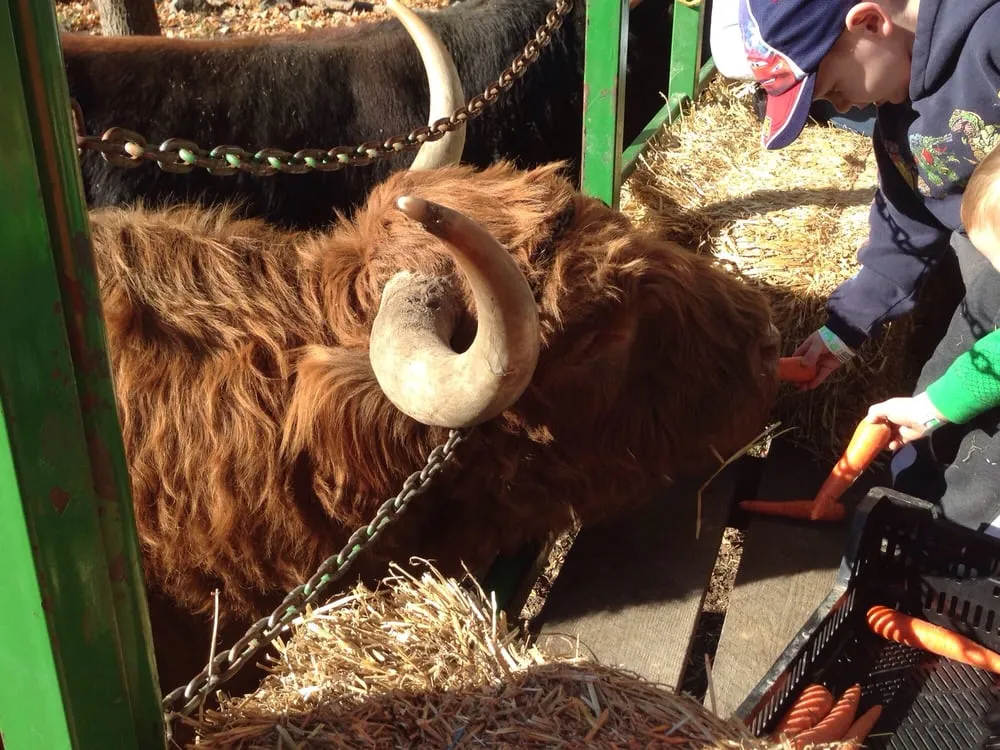 Local lawn mowing service for beautiful yards across Middletown, NY - Maples Farm