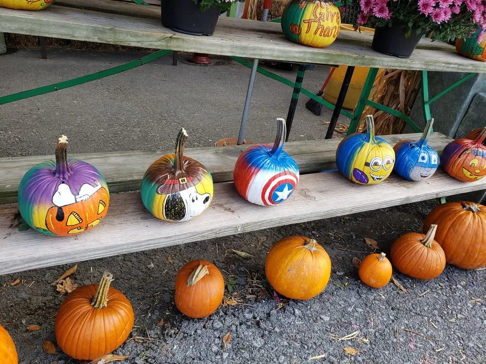 Reliable landscape installation for year-round maintenance in Middletown, NY by Maples Farm