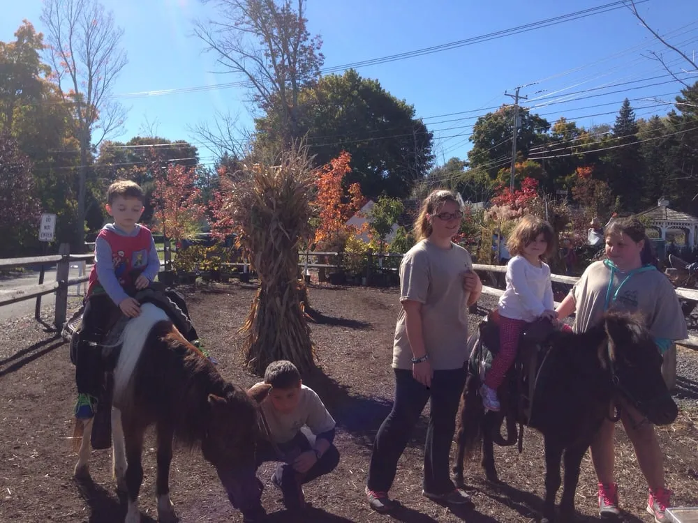 Expert garden landscaping in Middletown, NY - Maples Farm