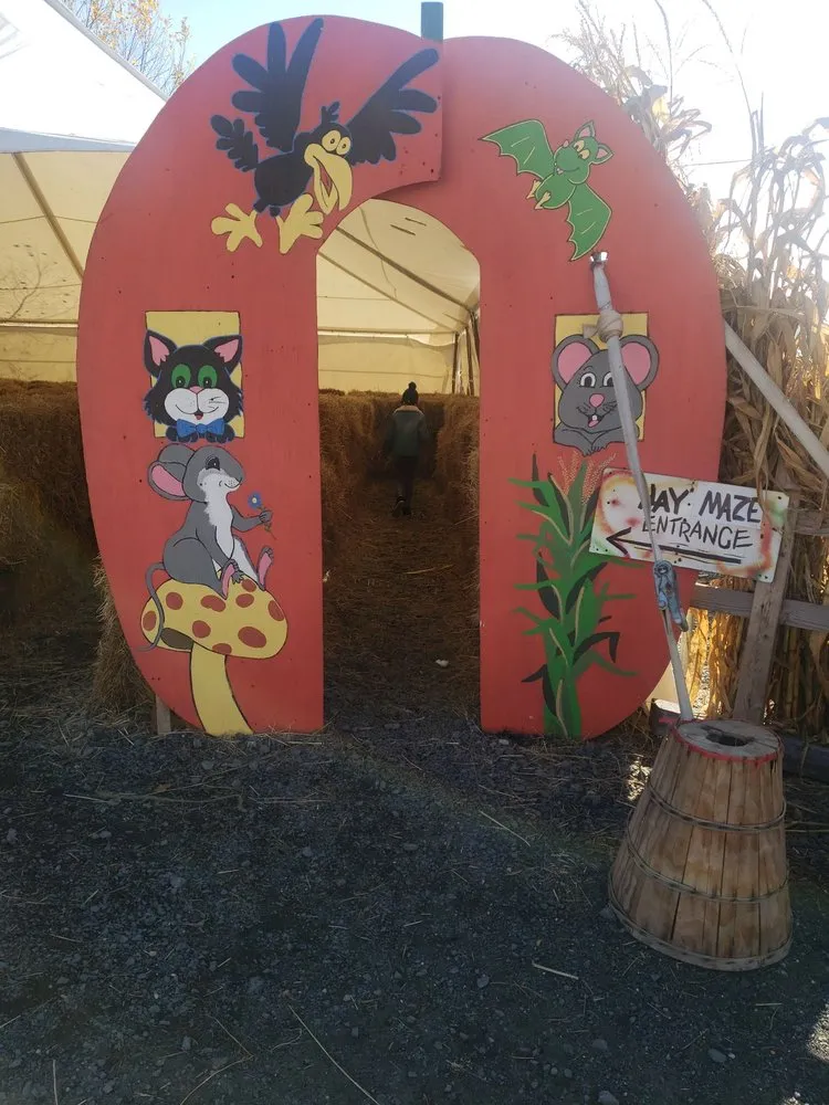 Custom landscape installation in Middletown, NY by Maples Farm