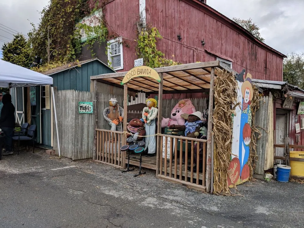 Trusted yard cleanup service for outdoor upgrades in Middletown, NY by Maples Farm