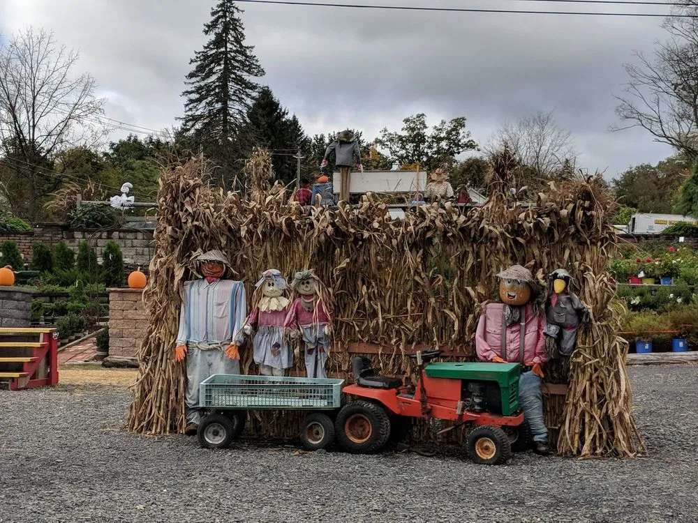 Top-rated yard maintenance for homes across Middletown, NY - Maples Farm