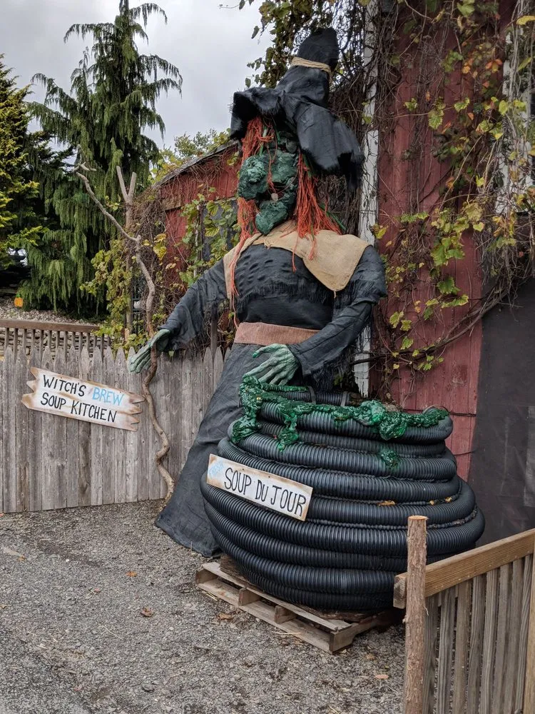 Expert landscaping services for homes across Middletown, NY - Maples Farm