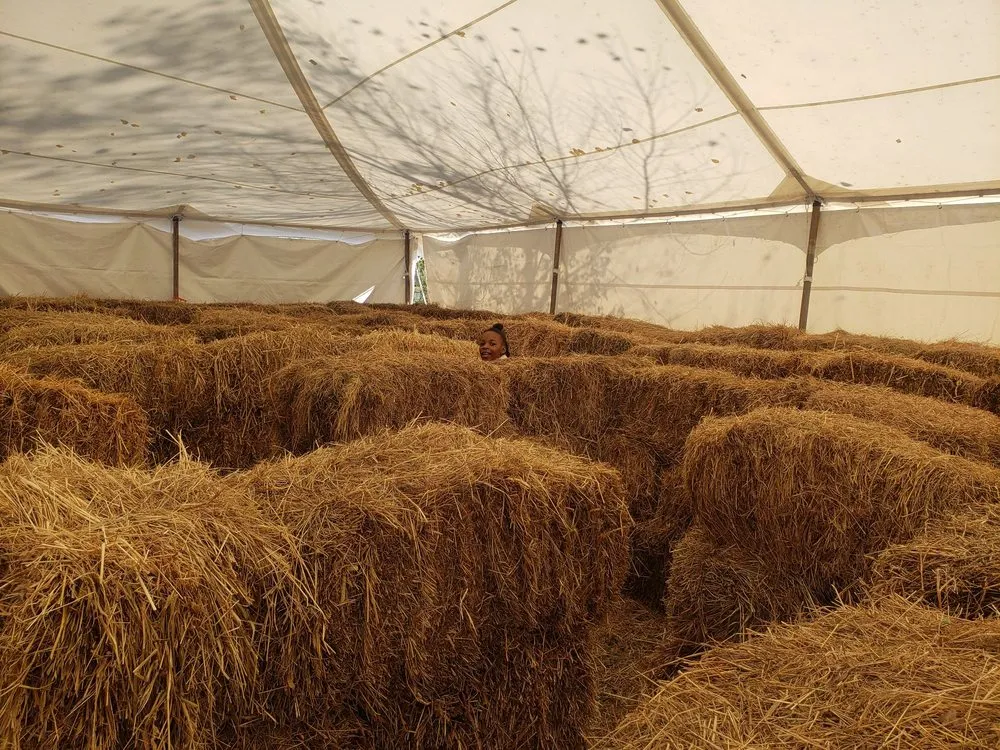 Affordable garden landscaping in Middletown, NY - Maples Farm