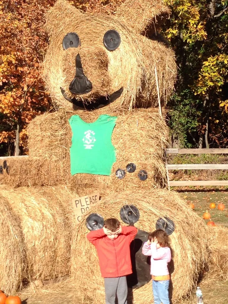 Top-rated outdoor landscaping experts serving Middletown, NY - Maples Farm