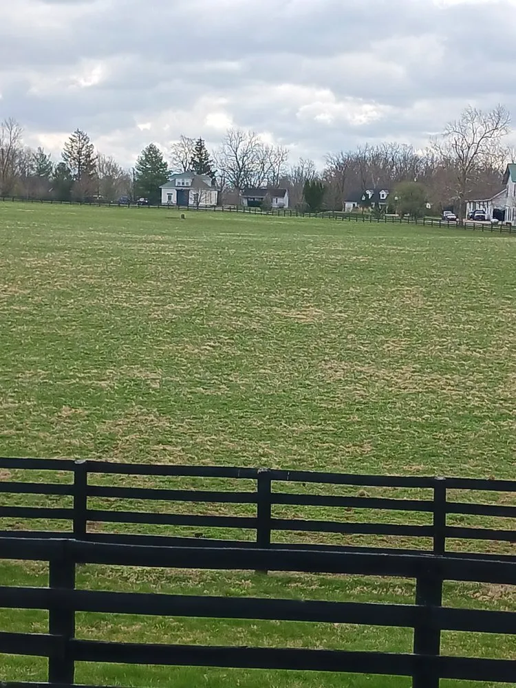 Local garden landscaping for outdoor upgrades in Louisville, KY by Maples Lawncare and Landscaping