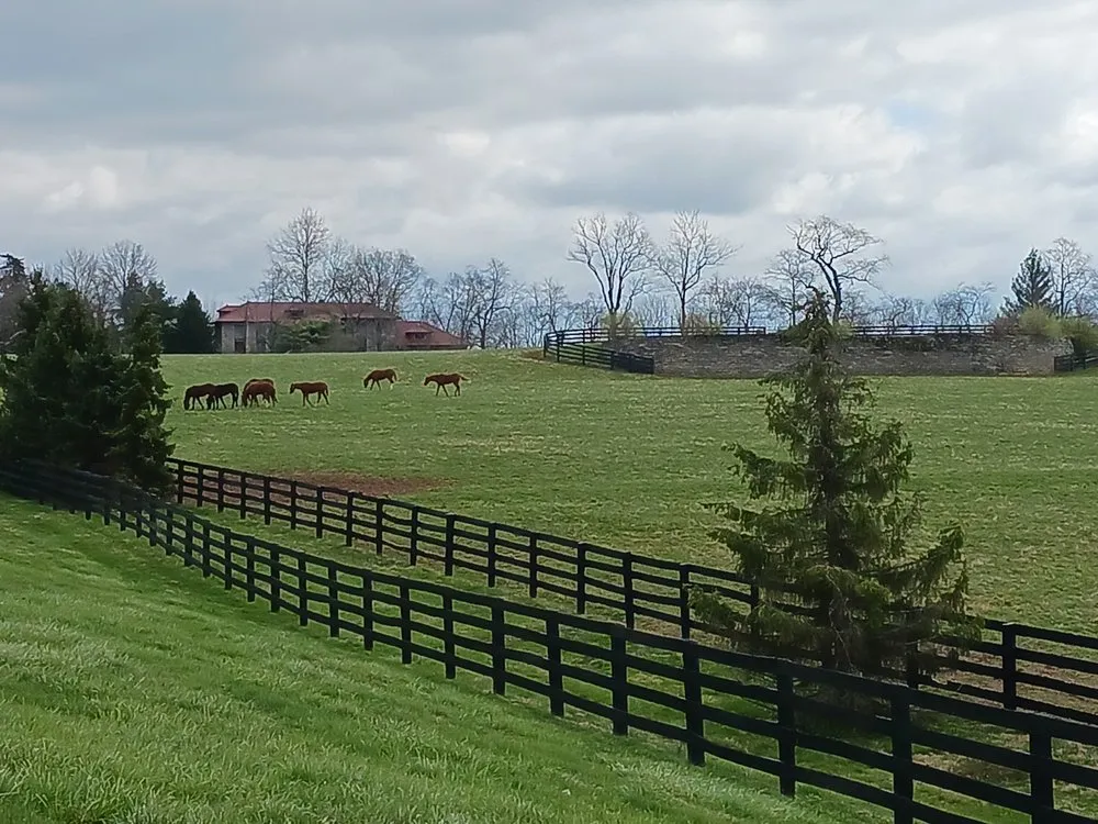 Professional yard maintenance in Louisville, KY by Maples Lawncare and Landscaping