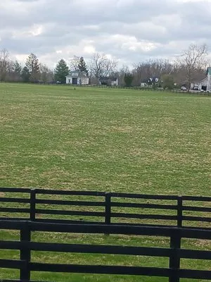 Maples Lawncare and Landscaping Logo