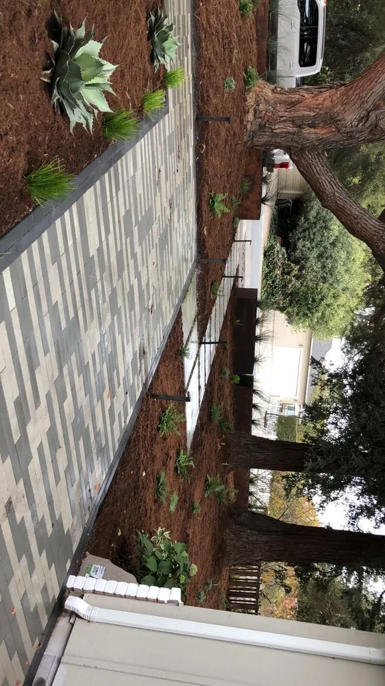 Local garden landscaping for homes across San Jose, CA - Mapletree Landscaping