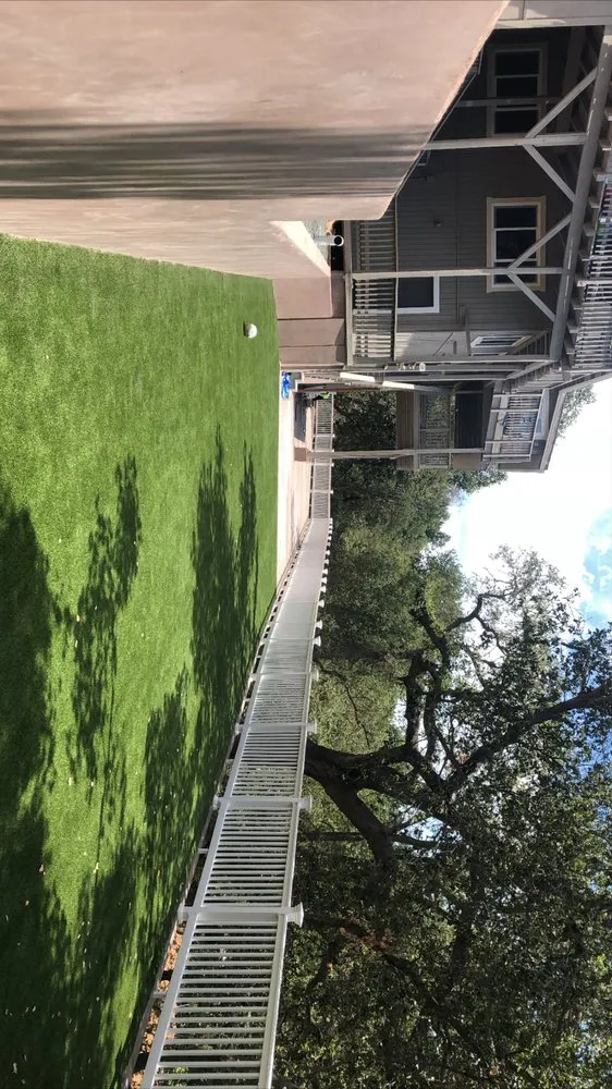 Affordable landscaping services experts serving San Jose, CA - Mapletree Landscaping