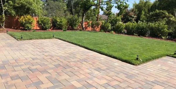 Mapletree Landscaping Logo