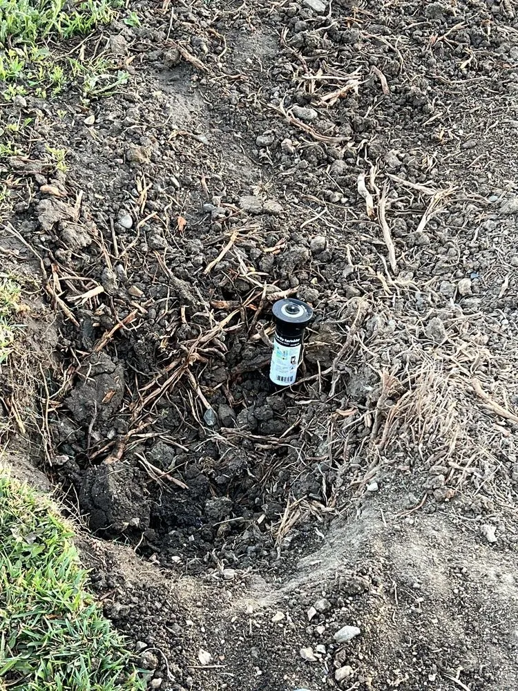 Local garden landscaping experts serving Hollister, CA - Maplewood Landscape