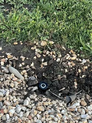 Maplewood Landscape Logo