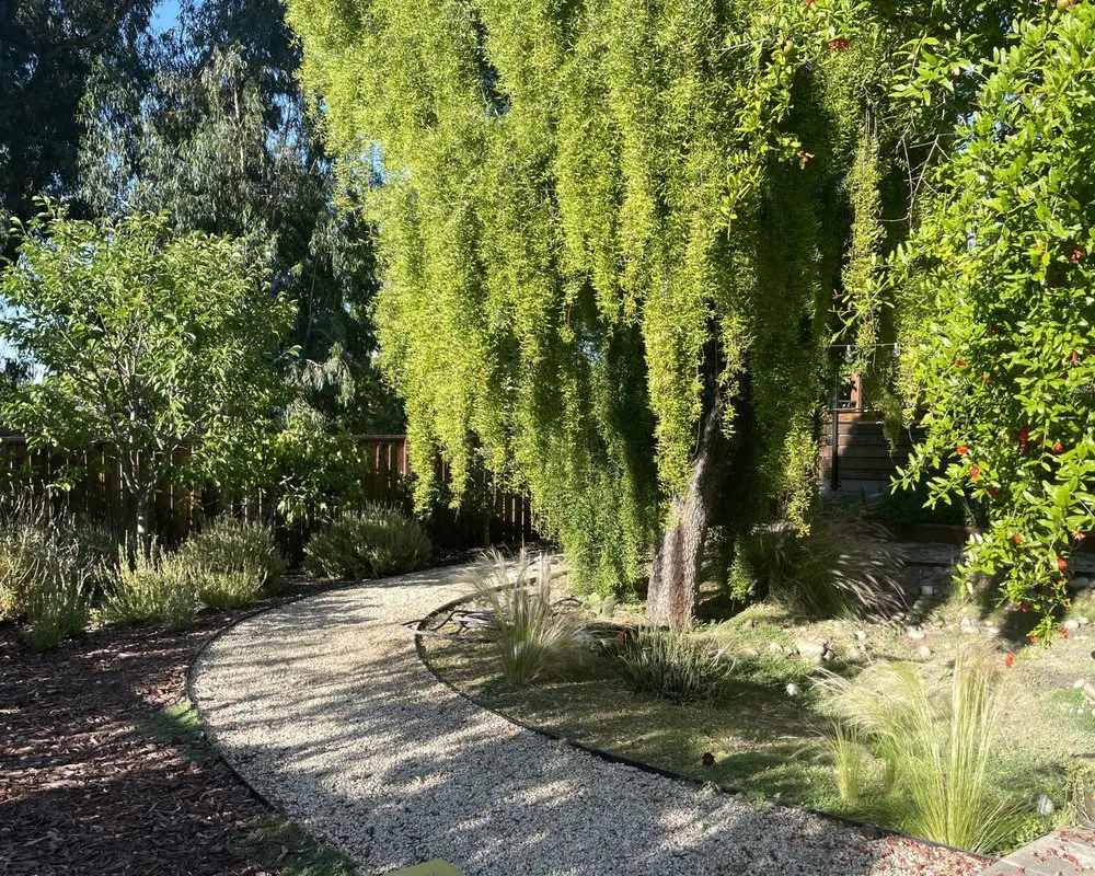 Expert garden landscaping in Castroville, CA - Maplewood Landscaping