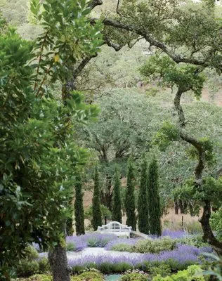 Maplewood Landscaping