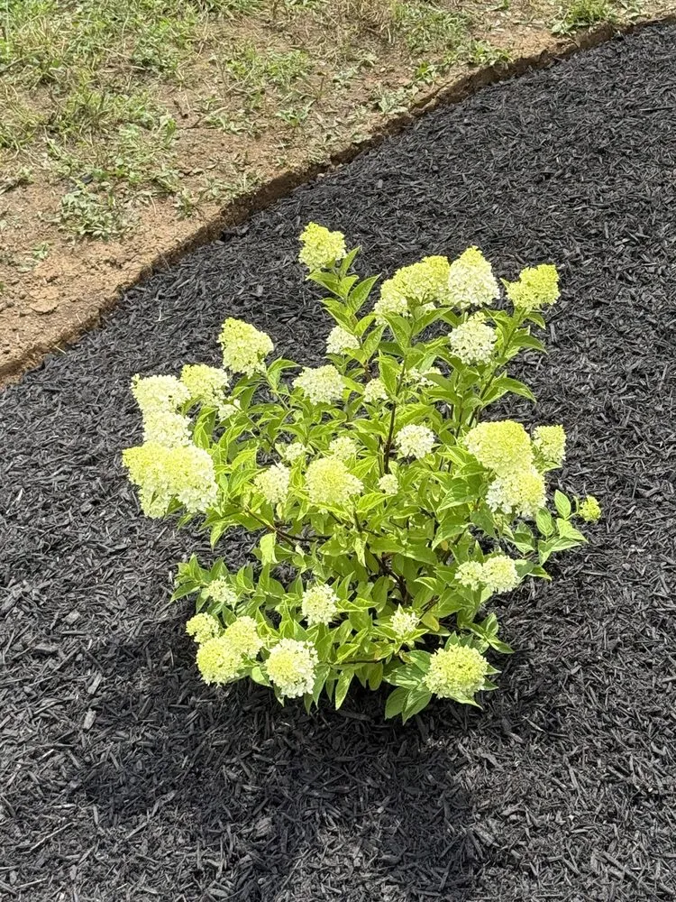 Top-rated garden landscaping in Circleville, OH by Maplewood Landscaping