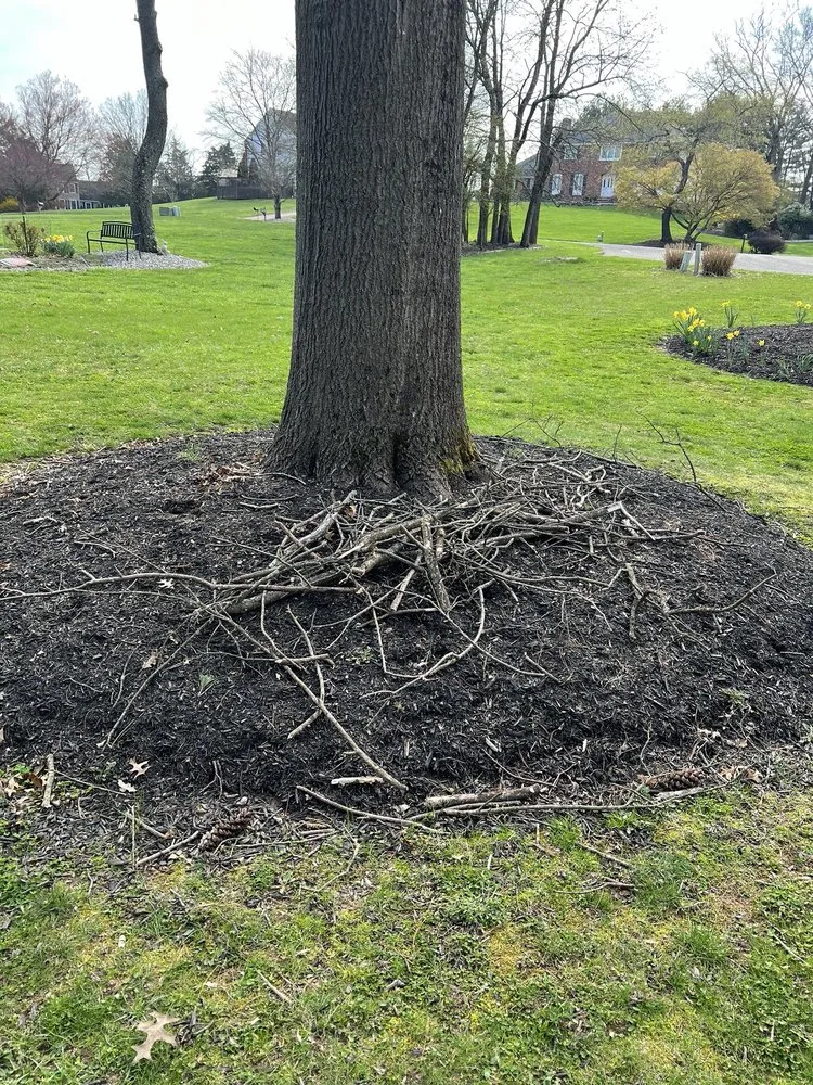 Expert yard maintenance experts serving Flemington, NJ - Maplewood Landscaping