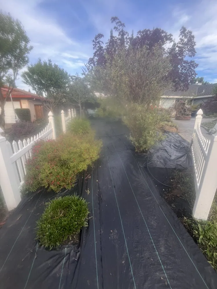 Trusted outdoor landscaping with custom design across Folsom, CA - Maplewood Landscaping