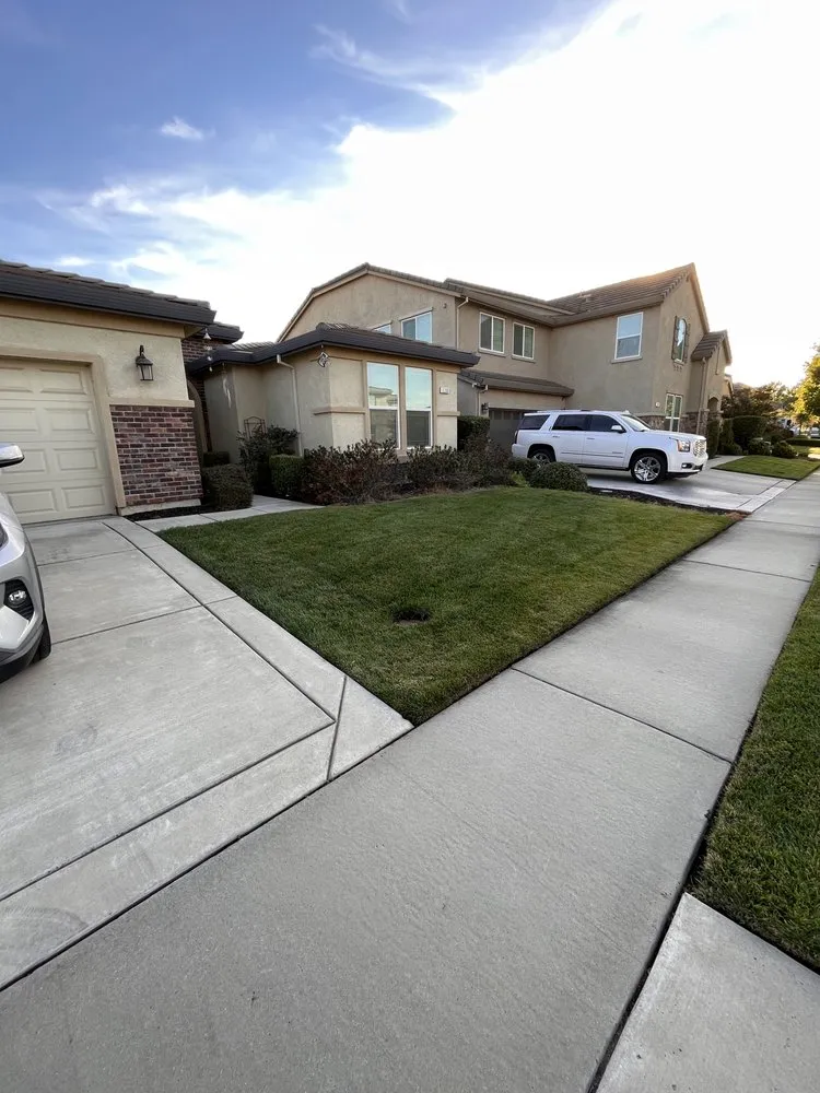 Affordable landscaping services near you in Folsom, CA by Maplewood Landscaping