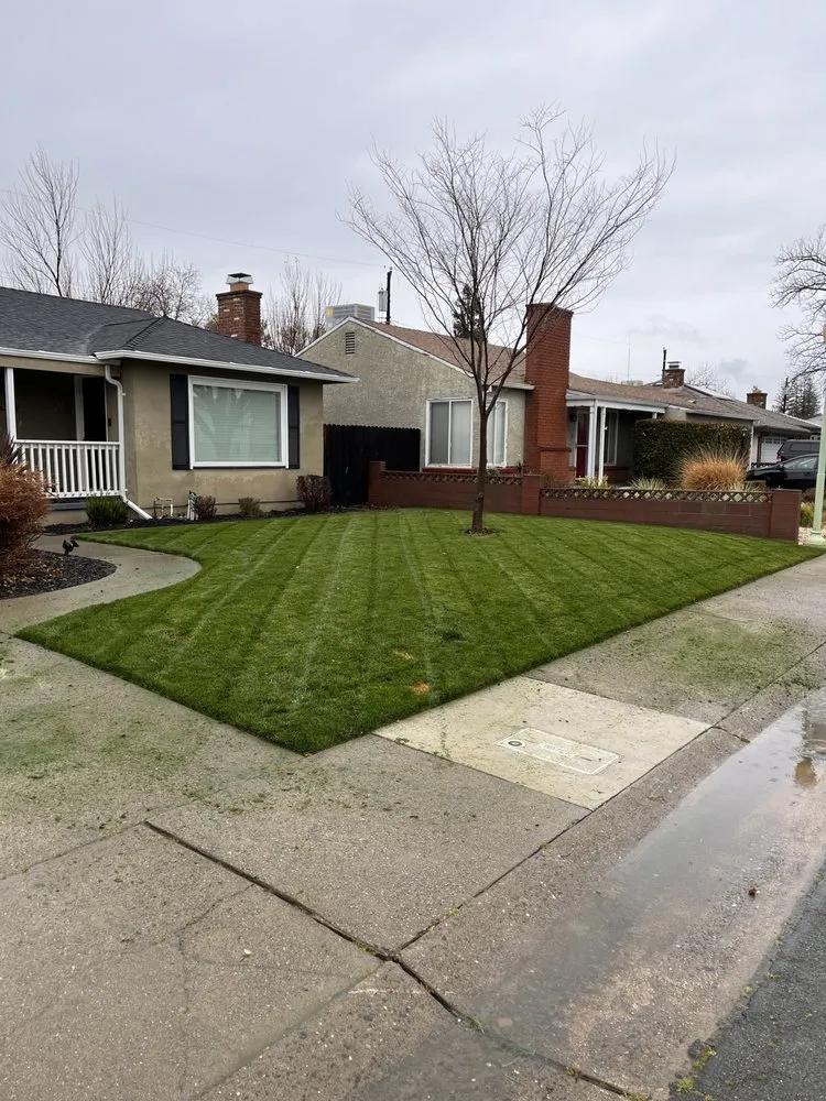 Expert residential landscaping with custom design in Folsom, CA by Maplewood Landscaping