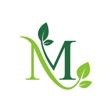 Expert residential landscaping in Mount Laurel Township, NJ - Maplewood Landscaping