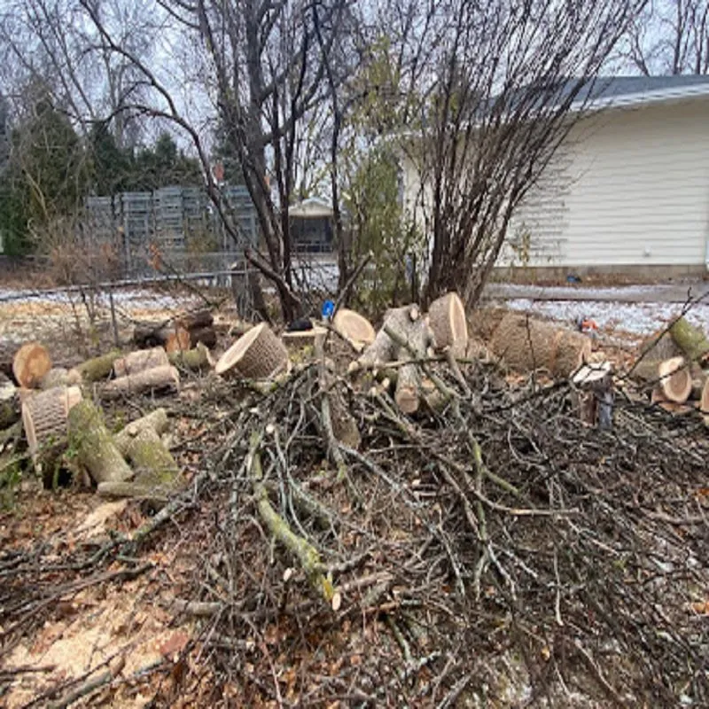 Affordable landscape installation experts serving Maplewood, MN - Maplewood Tree Service