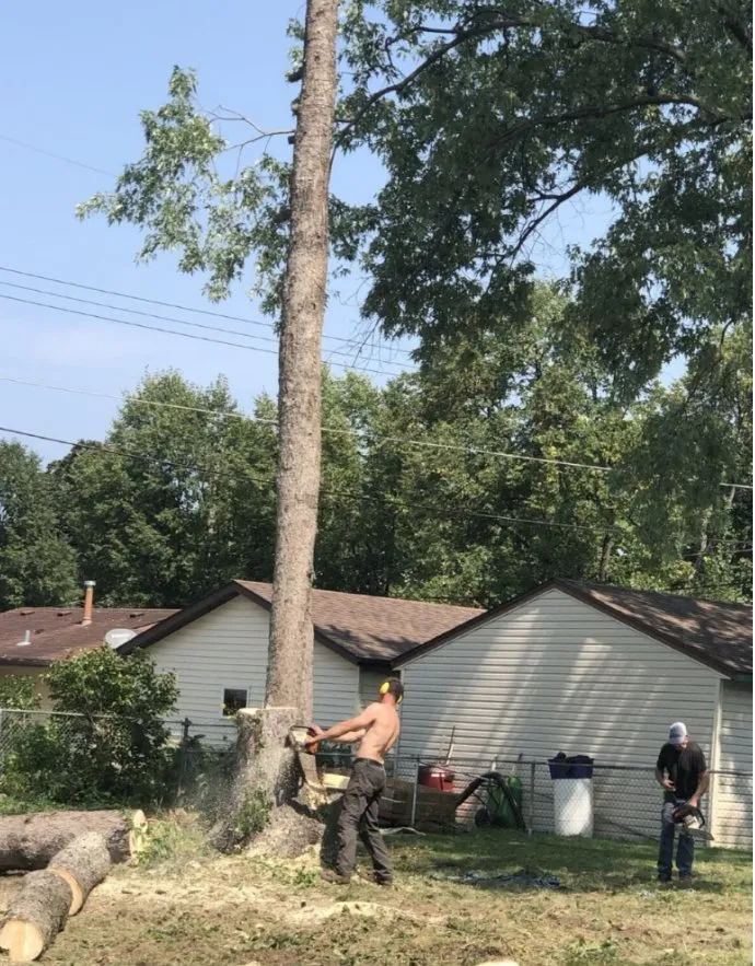 Custom lawn care service with custom design across Maplewood, MN - Maplewood Tree Service