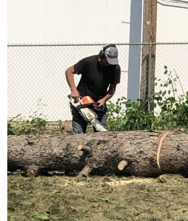 Affordable garden landscaping in Maplewood, MN - Maplewood Tree Service