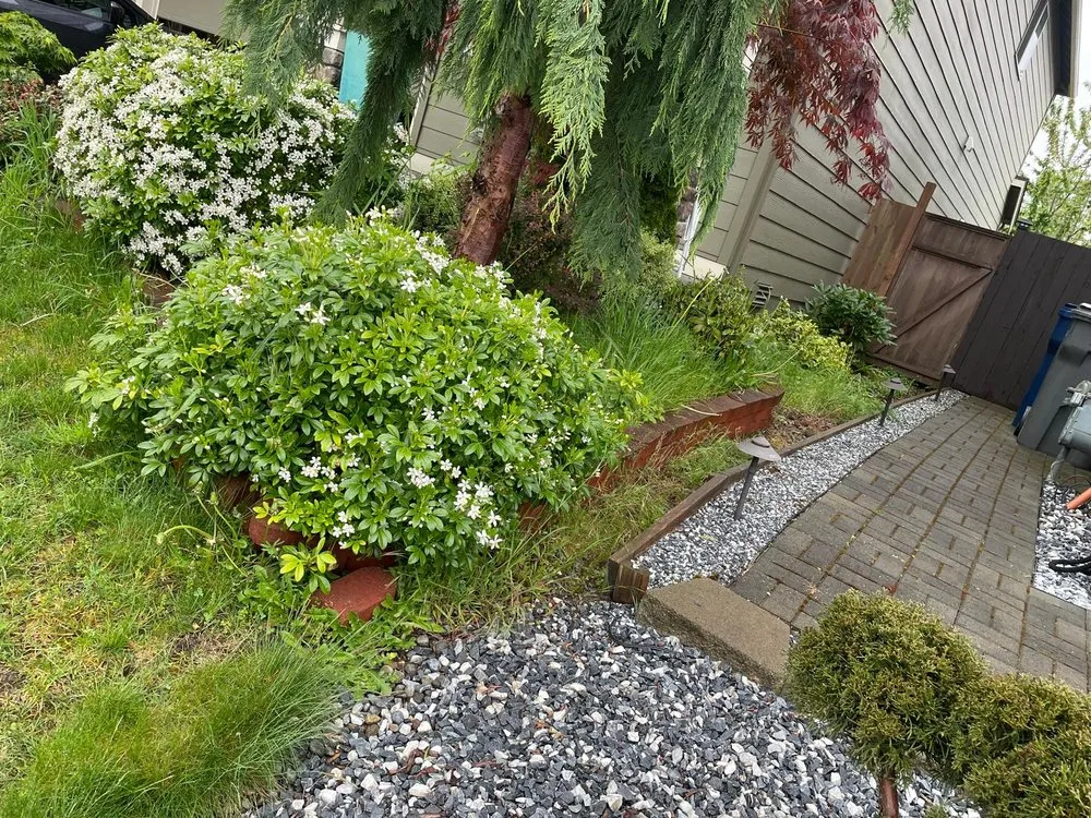 Custom lawn care service near you in Kent, WA by Mar Landscaping & Construction