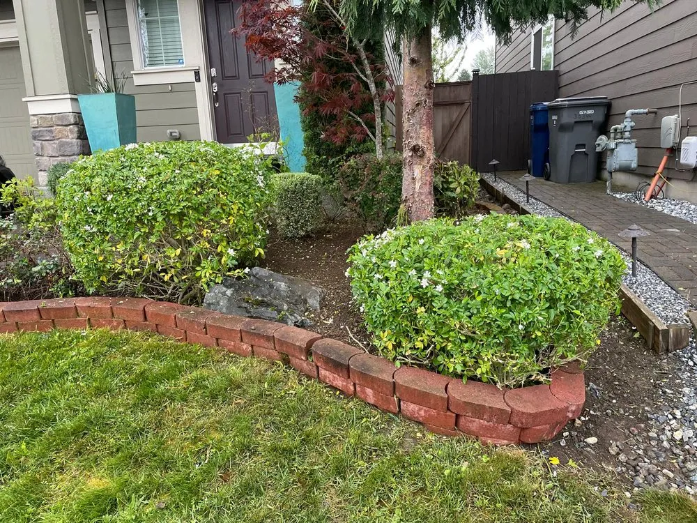 Professional yard maintenance experts serving Kent, WA - Mar Landscaping & Construction