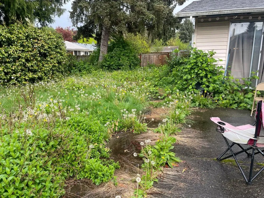 Reliable residential landscaping in Kent, WA by Mar Landscaping & Construction