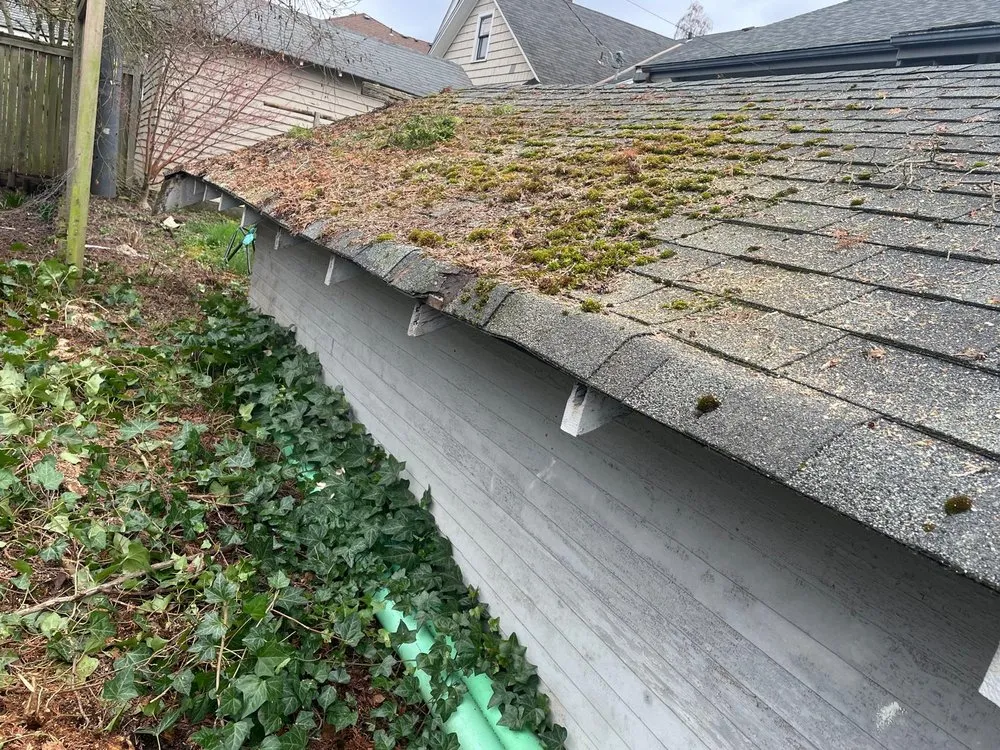 Reliable landscaping services in Kent, WA - Mar Landscaping & Construction